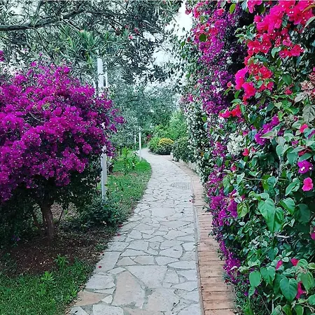 Sea View Apartman Dhërmi
